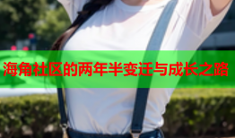 海角社区的两年半变迁与成长之路