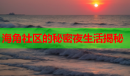 海角社区的秘密夜生活揭秘